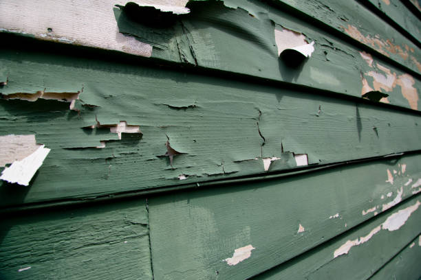 Best Construction Debris Removal  in London, KY